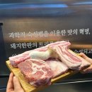 고기랑쭈꾸미랑 네이버블로그