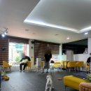 냉큼, 오레오 이미지