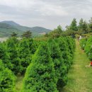 양수목장 이미지