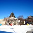 고요산책 이미지