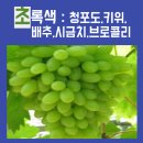 아이윈영수학원