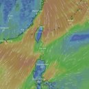 강풍 주의보 발령으로 인한 1회 만 운항 (23.1.27) 이미지