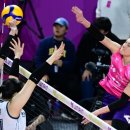 흥국생명 이미지