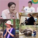 잰라이프