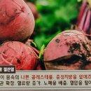 비트주스 이런 놀라운 효과가 이미지