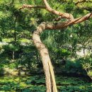 쉬었다가개 이미지