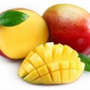 다름 과일 이미지