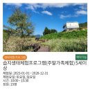 양산 아이랑 가볼만한 곳, 부산 창원 근교 양산당곡생태학습관 주말 체험 후기