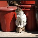 남도사랑채 이미지