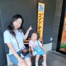 일본 후쿠오카 아침 식당 코메다커피 모닝세트 꿀팁 추천