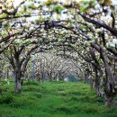 덕과면 덕동마을 이미지