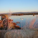 오리사냥 2 이미지