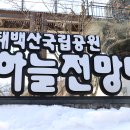 황지연못 (산경산악) 이미지