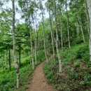 뜬봉샘생태공원 이미지