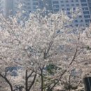 죽곡근린공원 이미지