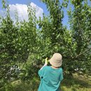 문경새재국민여가캠핑장 이미지