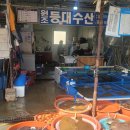 원조등대수산 - 보령시 대천항4길 32 | 원조등대수산