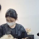 경은농장 이미지