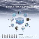 라라제이뷰티 네이버블로그
