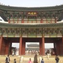 체험학습스쿨동행주