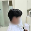 제천가발 이미지