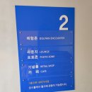 돌고래약품 | 거제아이와가볼만한곳 거제 씨월드 벨루가 돌고래 아쿠아리움 솔직후기