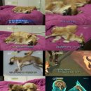 두모농장 이미지