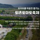 동해당약국 | 퇴촌토마토축제 일정 공연 주차 가격 총정리 (+ 방문전 필독!)