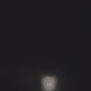 초사흘달