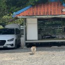 쌍용민박 이미지