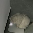 최고야2