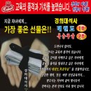 경희대석사체육관 Daum카페