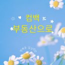 최고부동산중개 | 컴백, 부동산으로. 방배동 입성, 필립부동산