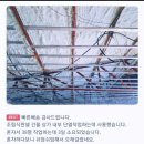 폼월드 이미지