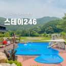 스테이246 이미지