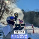 비발디파크렌탈샵더드림렌탈스키강습