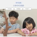 게임팡팡 | 가족 보드게임 추천 스파이더팡팡