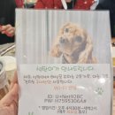 석탄이네해산물포차