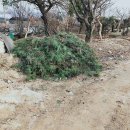 상록 농장 이미지