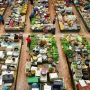 진솔할인마트 이미지