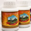 21c농장 | 님오일과 천연농약 이용한 주말농장 병충해 방제 (Ⅰ)