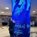 남부터미널역 계단 횡단보도(5번출구 뒤) | 예술의전당 오페라극장｜센과 치히로 연극 후기, 1층 B구역 8·17열 시야각(+물품보관함)