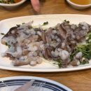 살아생전 | [회룡]늘 만석이던 회룡역 회 맛집 ! <살아생전 회>