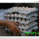 백봉농장 이미지