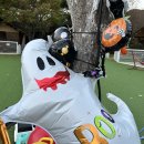 백운계곡캠핑장 | [포천글램핑] 백운계곡캠핑장 프리미엄동 솔직후기+할로윈 감성 한스푼