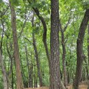 다정한 행정사사무소 이미지