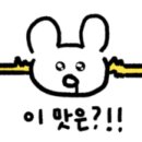 베이커리리종 이미지