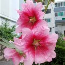 삼정그린경로당 이미지