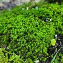 파코통상 이미지