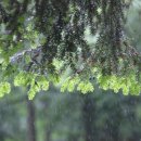 논현로11길 16-11 이미지